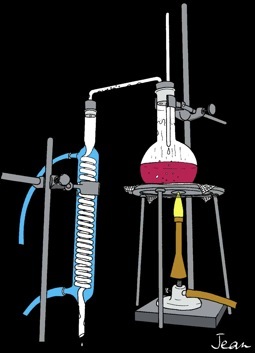 La distillation du vin