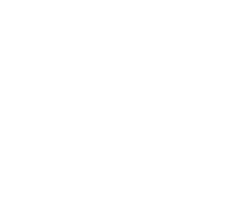 Harmonica ‘Blues harp’
Hohner, Allemagne