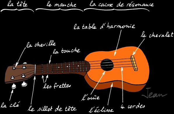 🎸 Découvrez notre sélection de cordes pour ukulélé !